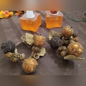 1 Set of Autumn Napkin Rings.
